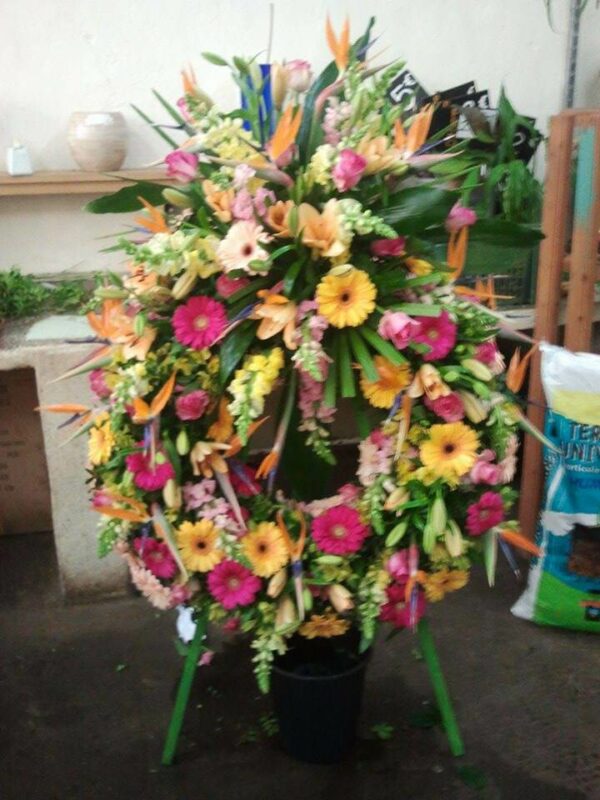 Couronne – Image 4